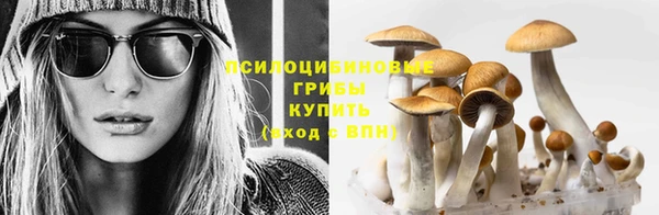 МДПВ Касимов