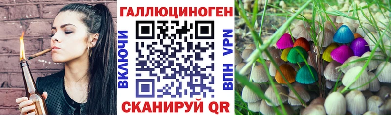 Галлюциногенные грибы Cubensis  Купить  Жигулёвск 